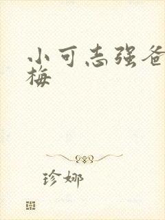 小可志强爸爸阿梅封面