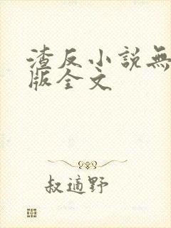 渣反小说无删减版全文封面