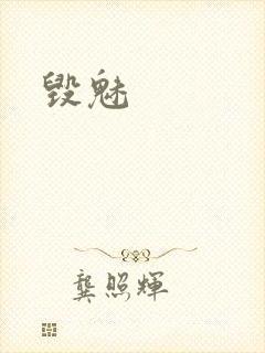 毁魅