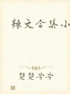 辣文合集小说h
