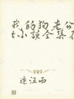 我的狗老公txt小说全集在线阅读