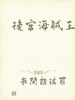 后宫海贼王