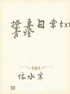 撩妻日常txt青灯