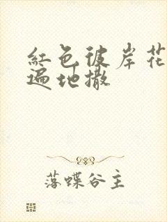 红色彼岸花花瓣遍地撒