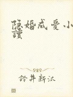 隐婚成爱小说阅读