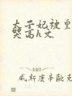 太子妃被皇上c哭高h文