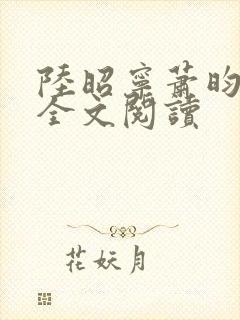 陆昭宁萧昀在线全文阅读封面