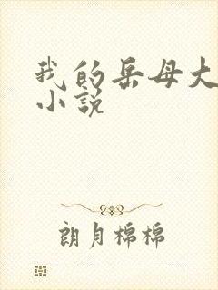 我的岳母大人,小说