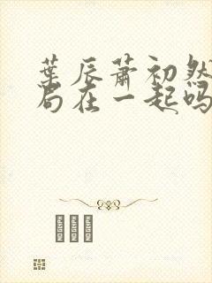 叶辰萧初然大结局在一起吗封面