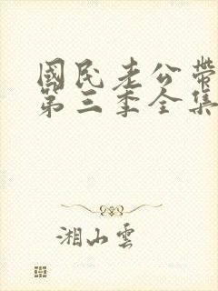 国民老公带回家第三季全集
