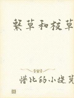 系草和校草