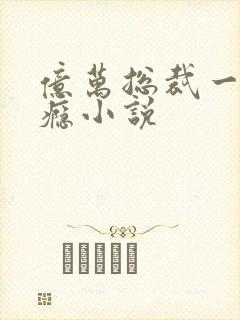 亿万总裁一次成瘾小说