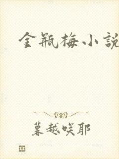 金瓶梅小说