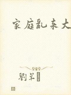 家庭乱来大杂烩封面