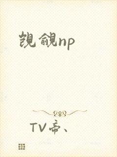 觊觎np