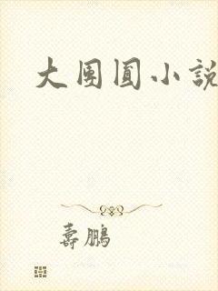 大团圆小说