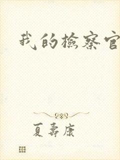 我的检察官先生封面