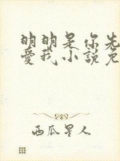 明明是你先说的爱我小说免费阅读