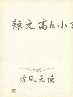 辣文高h小说