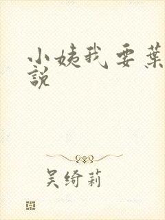小姨我要叶凡小说