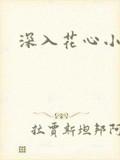 深入花心小说