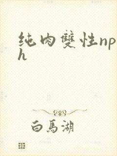 纯肉双性np h