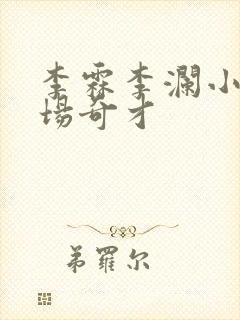 李霖李澜小说官场奇才封面