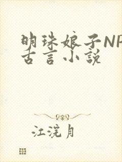 明珠娘子NPC古言小说