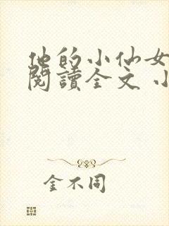 他的小仙女免费阅读全文 小说封面