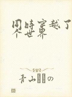同时穿越了99个世界