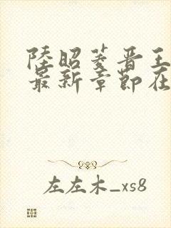 陆昭菱晋王小说最新章节在线阅读