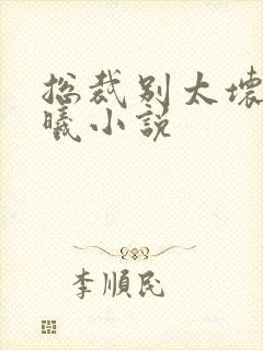总裁别太坏夏紫曦小说封面