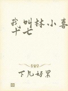 我叫林小喜今年十七