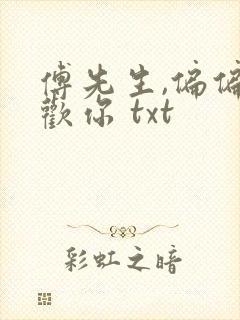 傅先生,偏偏喜欢你 txt封面
