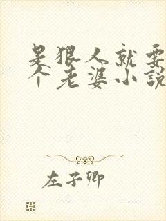是狠人就要娶四个老婆小说阅读