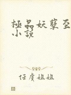 极品妖孽至尊 小说