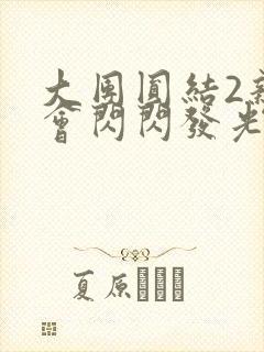 大团圆结2亲情会闪闪发光亲情会2
