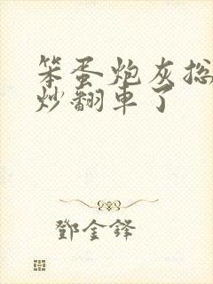 笨蛋炮灰总被爆炒翻车了