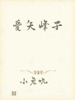 爱矢峰子封面