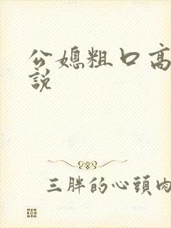 公媳粗口高h小说