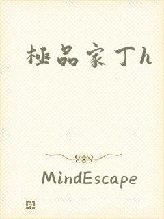 极品家丁h封面