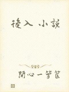 后入 小说