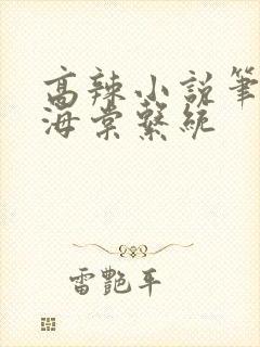 高辣小说笔趣阁海棠系统封面