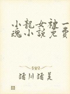 小龙女被一发入魂小说免费阅读