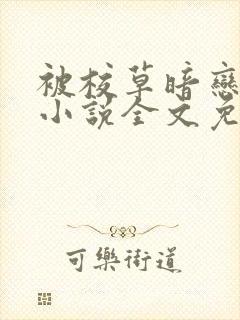 被校草暗恋之后小说全文免费阅读封面