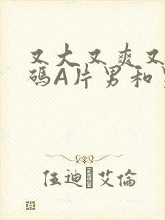 又大又爽又黄无码A片男和男封面