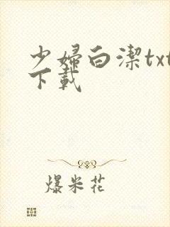 少妇白洁txt下载