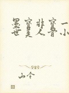 墨宝非宝一生一世美人骨小说
