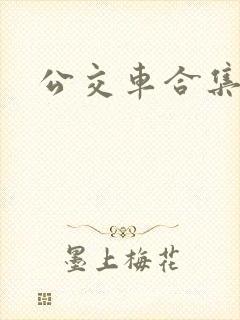 公交车合集