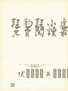 段豹段小虎全文免费阅读最新章节更